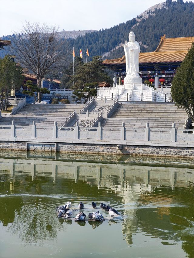 龙兴寺旅行图片 5