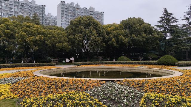 曲阳公园旅行图片 5