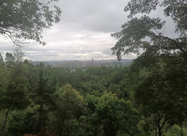 五象岭森林公园旅行图片 6