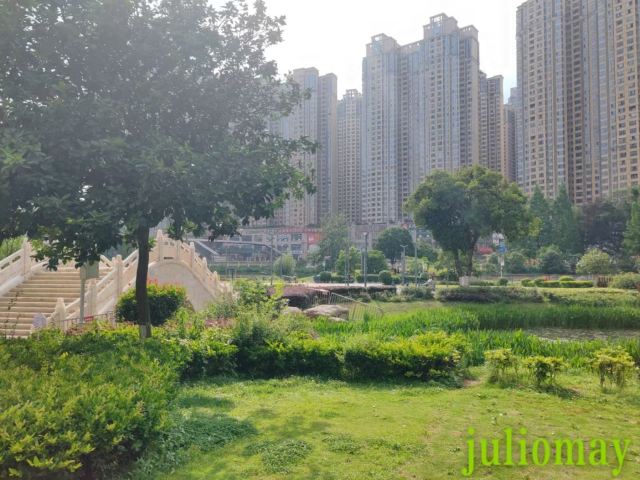 花果园湿地公园旅行图片 3