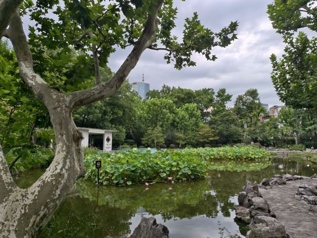 复兴公园旅行图片 4