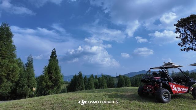 水城国家杜鹃公园旅行图片 7