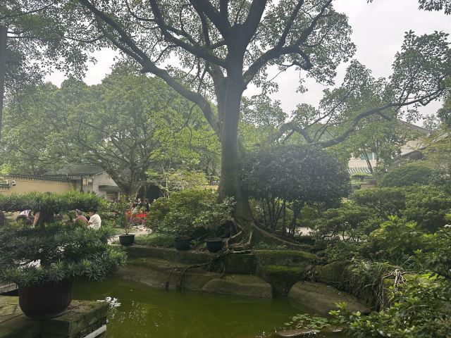鹅岭公园旅行图片 13