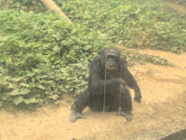 福州动物园旅行图片 6