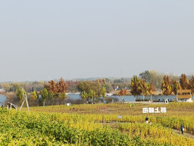 北京温榆河公园·湿地示范-芸上梯田旅行图片 1