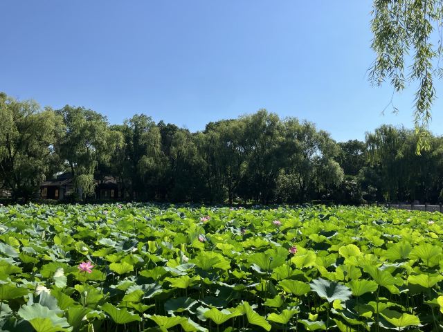 会稽山风景区旅行图片 1