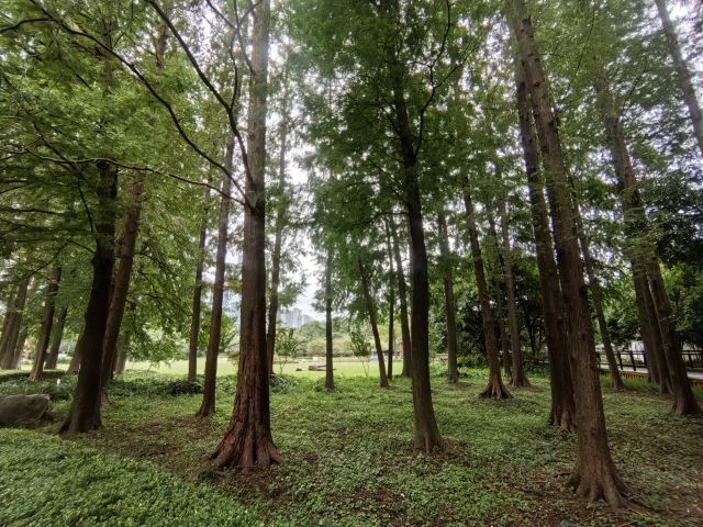 古城公园旅行图片 2