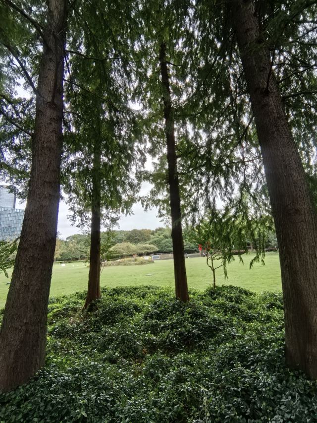 古城公园旅行图片 5