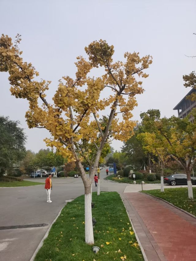 阿尔卡迪亚红桥海滩旅行图片 4