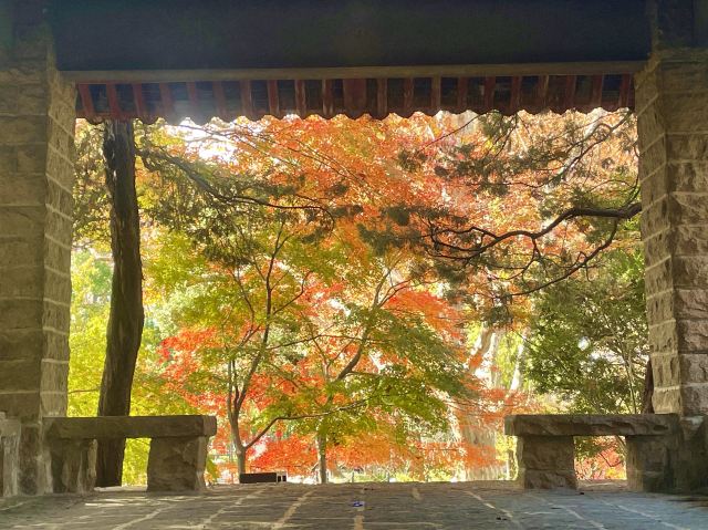 上海鲁迅公园旅行图片 1