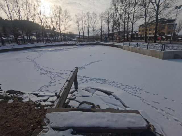 东湖公园旅行图片 2