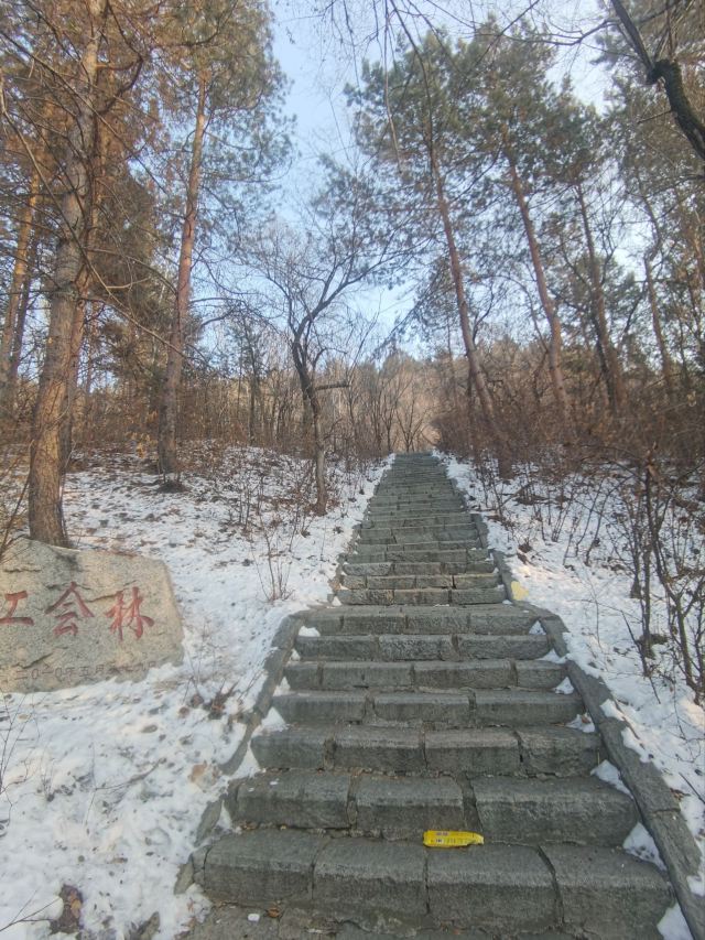 翠峰山公园旅行图片 3