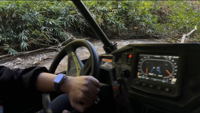 基诺山幽河谷雨林旅行图片 9