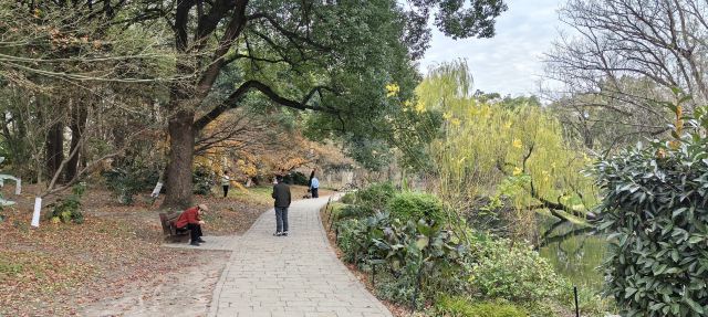 上海共青森林公园旅行图片 10