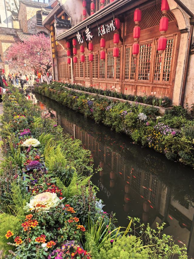 婺源弦高城景区旅行图片 12
