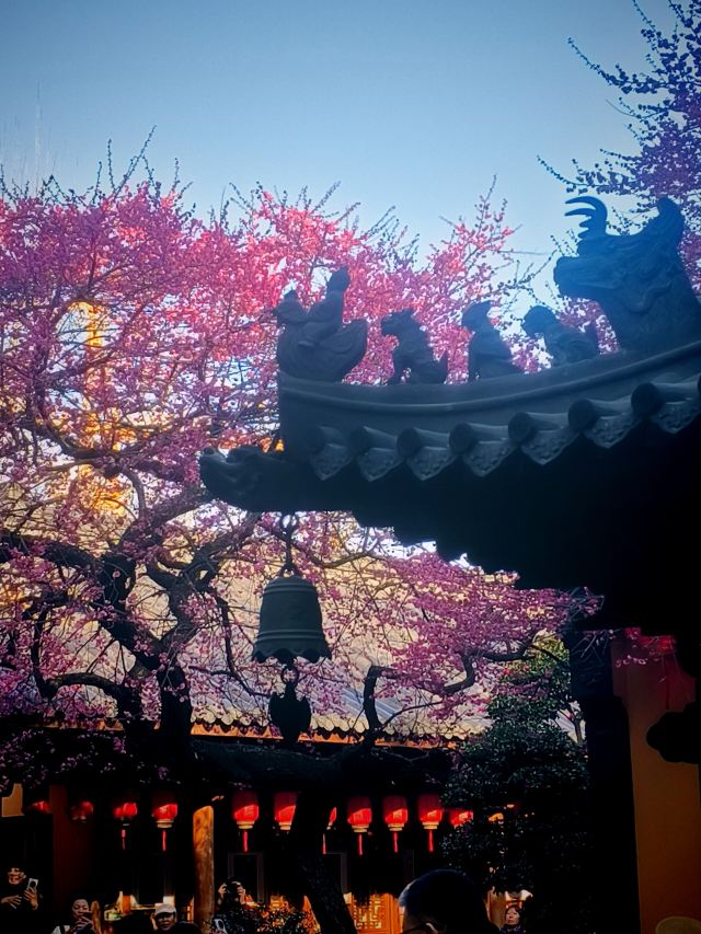 湖州铁佛寺旅行图片 7