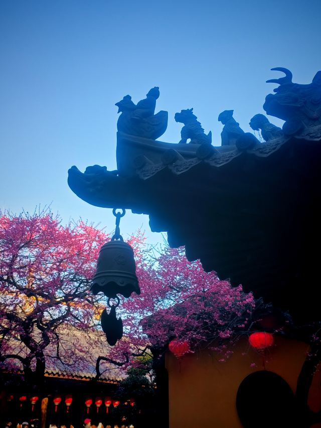 湖州铁佛寺旅行图片 6