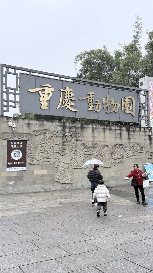 重庆动物园旅行图片 2
