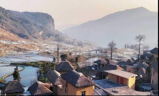 新山梯田旅行图片 3