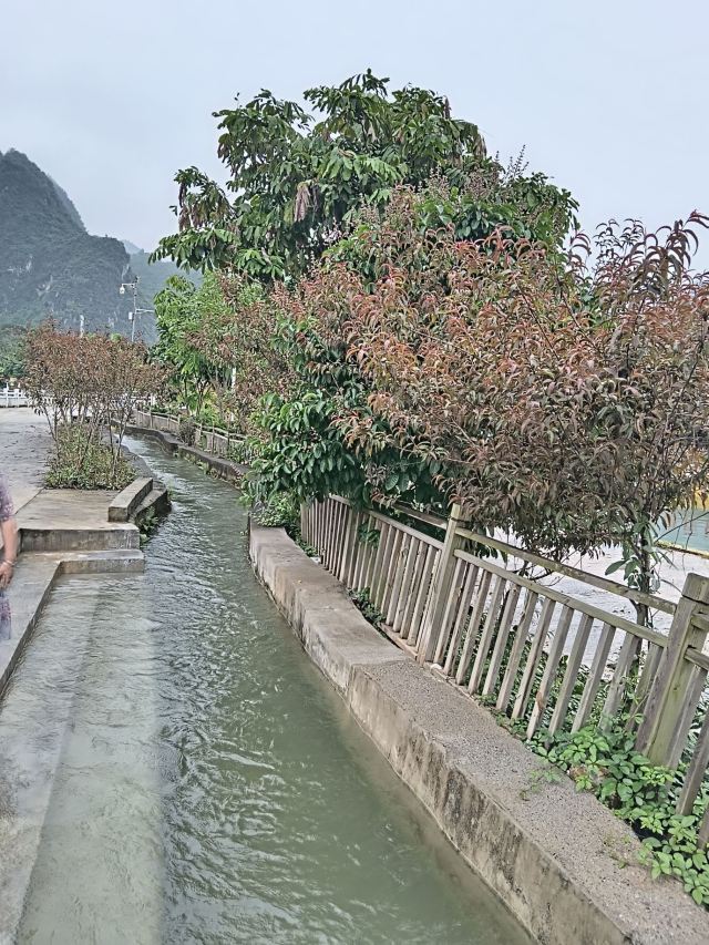 模范龙潭风景区旅行图片 3