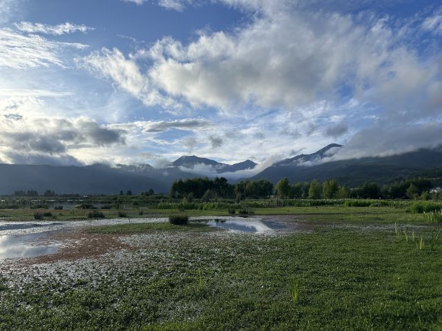 候鸟湾湿地旅行图片 1