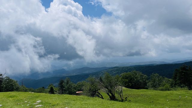 老秃顶草原景区(暂停开放)旅行图片 6