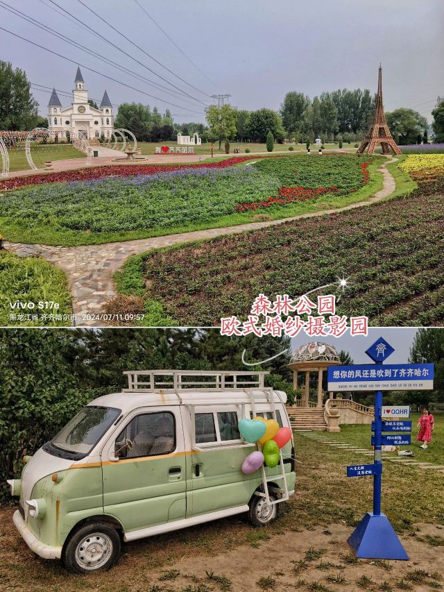 水师森林公园旅行图片 9