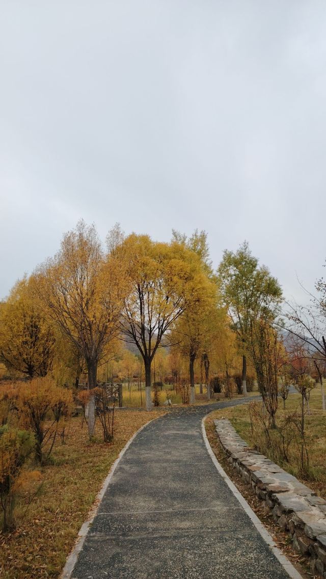 平安心湿地公园旅行图片 9