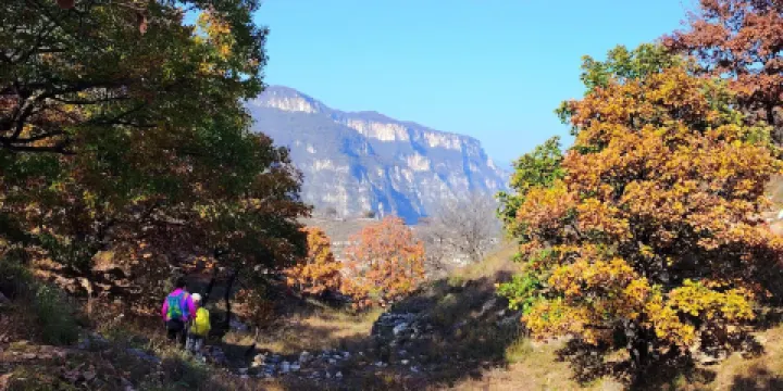 仙峯谷自然風景區