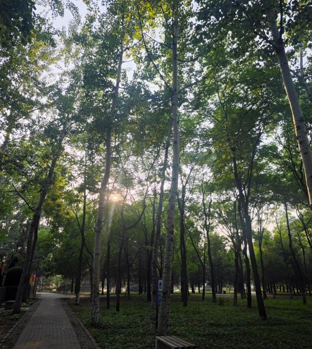 兴隆公园旅行图片 6