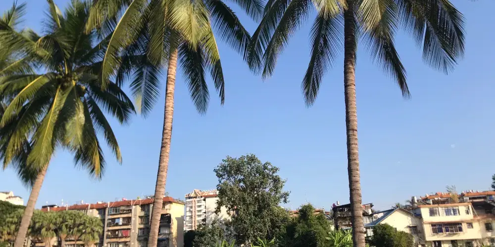 永安旅遊