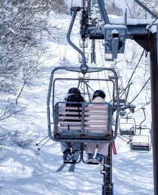 二世古町-机智的施施酱