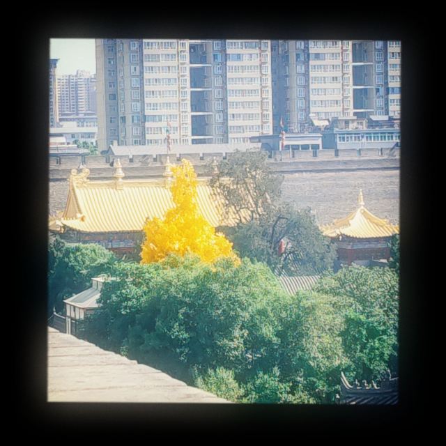 广仁寺旅行图片 9
