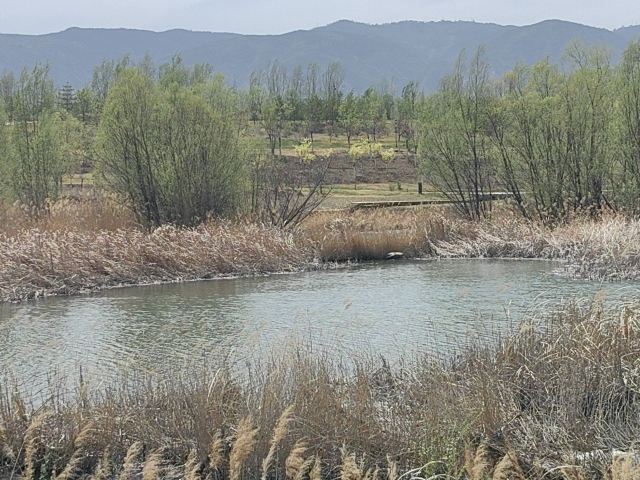 汾河雁丘园旅行图片 2