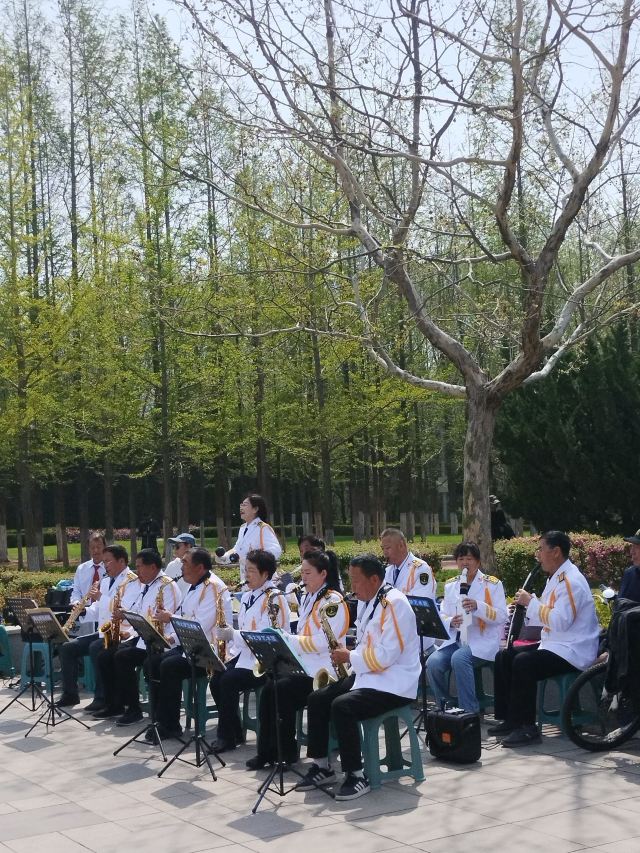 金普新区体育公园旅行图片 2