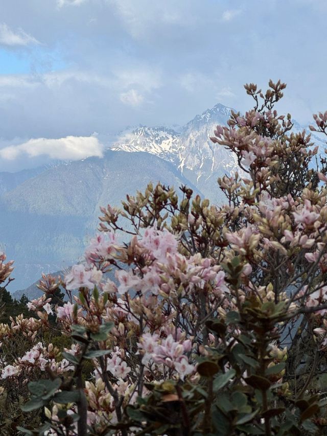 梅里雪山观景台旅行图片 6