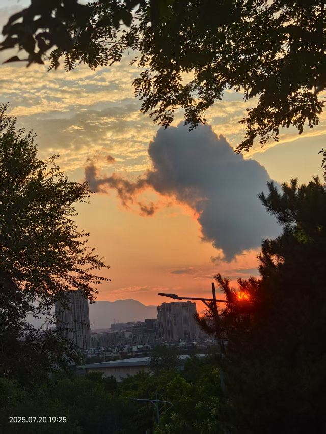 老山城市休闲公园旅行图片 15