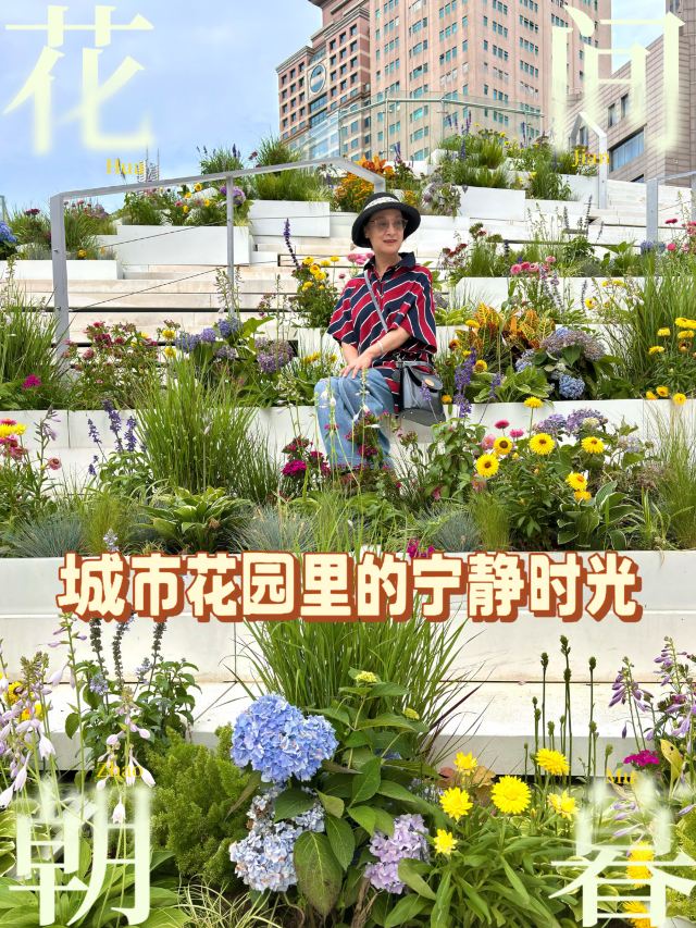 天津街广场公园旅行图片 1