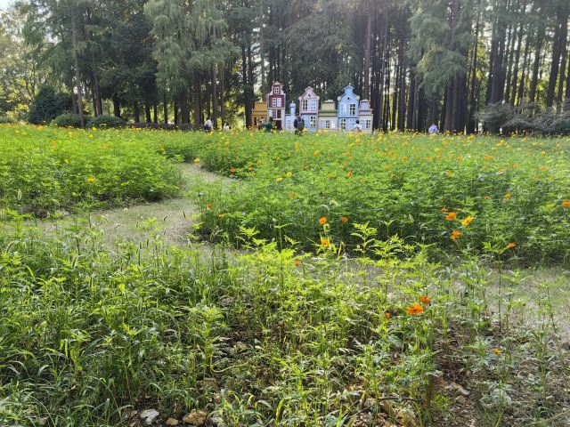 幕燕滨江·燕子矶公园旅行图片 3