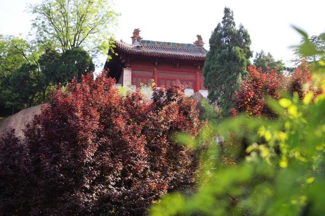 司马迁祠景区旅行图片 2