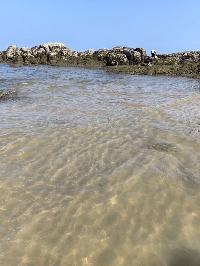 六鳌翡翠湾景区旅行图片 4