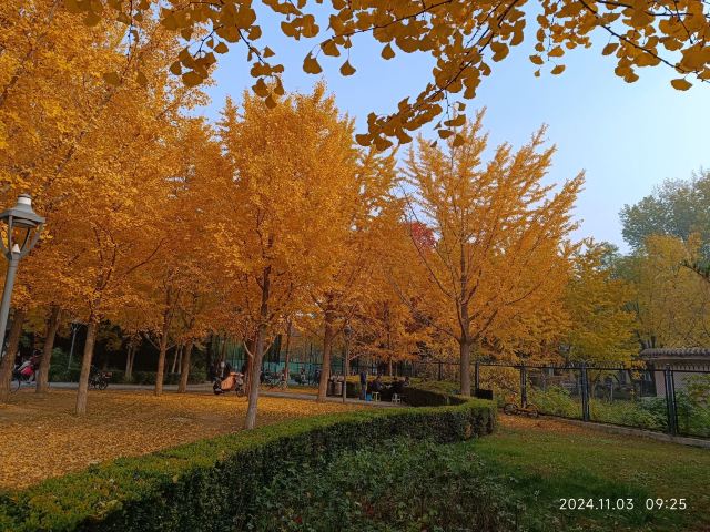 香山公园旅行图片 2