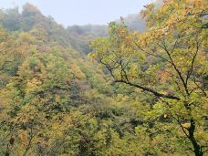 天然画廊-南江-可乐味的柠萌哒啦