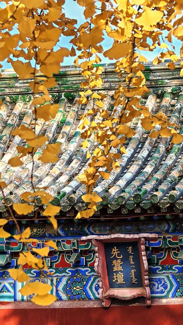 北海公园旅行图片 5