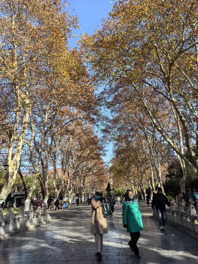 古逍遥津旅行图片 15