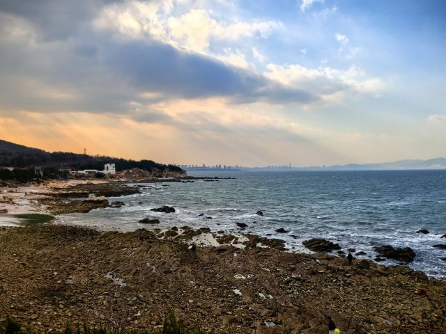 养马岛林间花海旅行图片 12