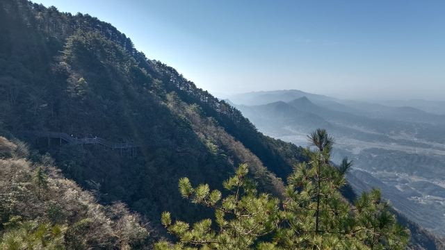 天岳幕阜山森林公园旅行图片 1