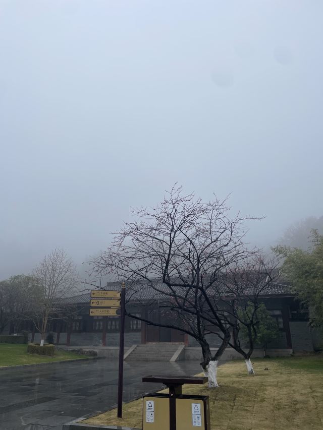 人间弥勒旅行图片 2
