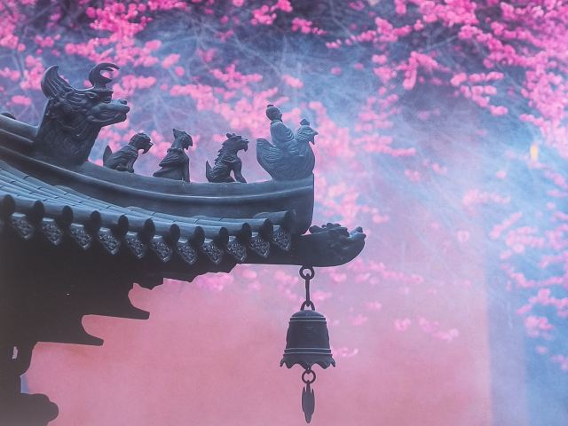 湖州铁佛寺旅行图片 3