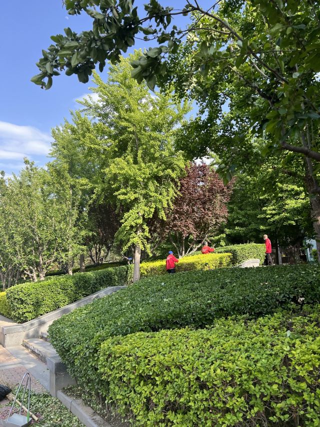 庆丰公园旅行图片 2